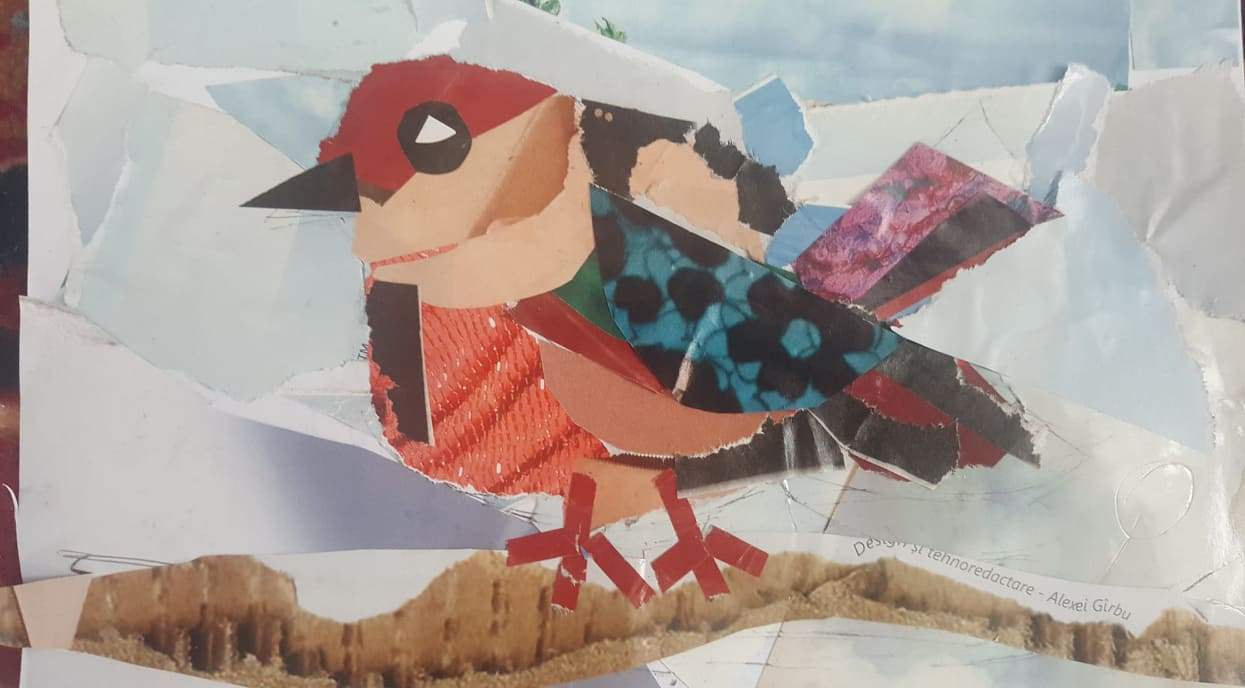 Master-class „Păsări sedentare”