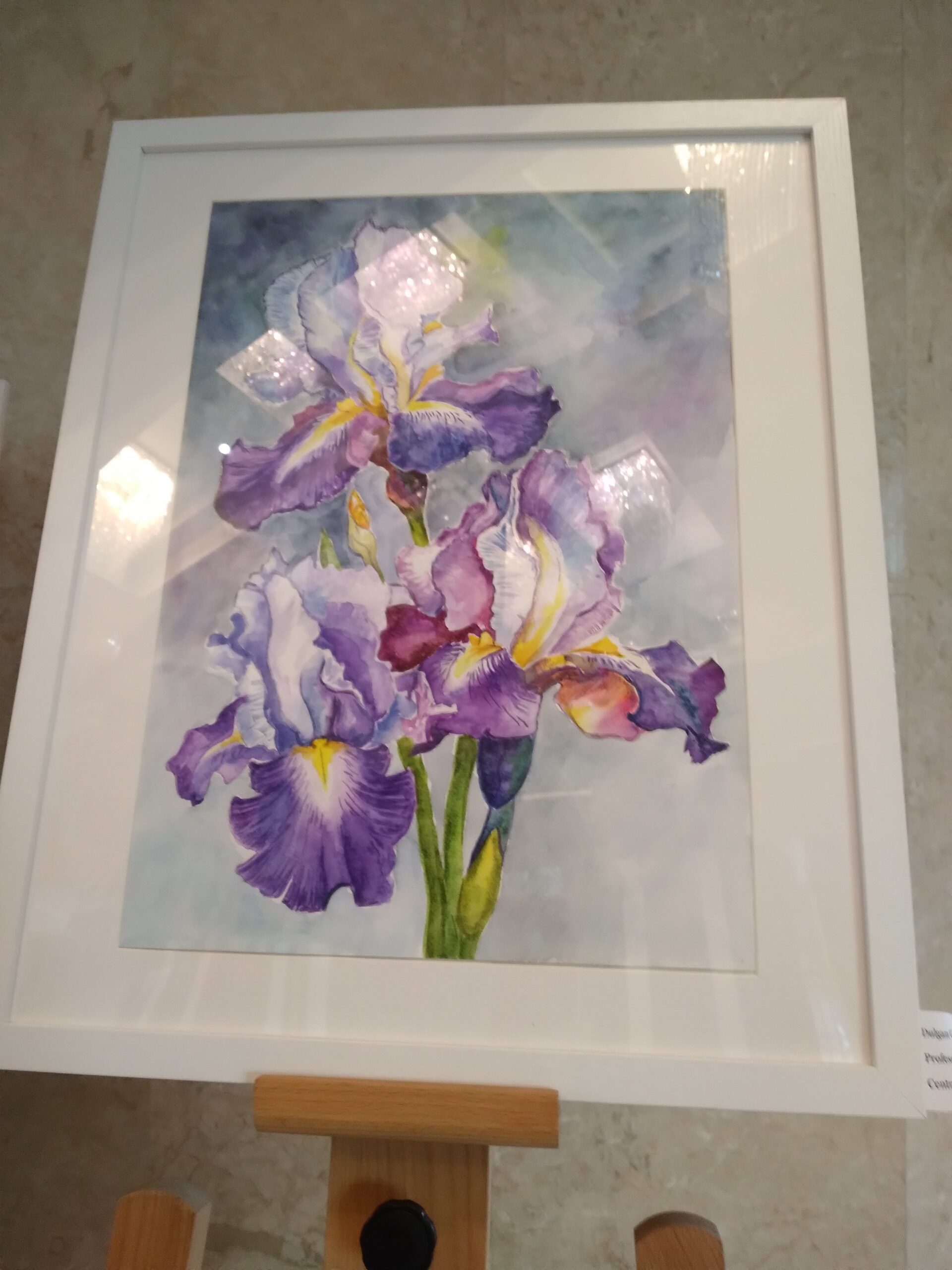 Culorile și muzica plaiului”